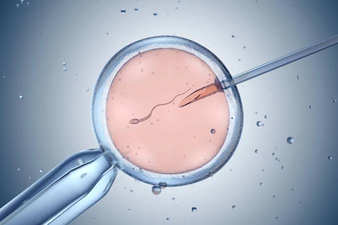 When Should Men Consider Sperm Freezing Before Fertility Treatment?
