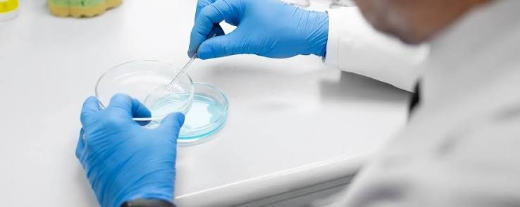 What Is Testicular Sperm Extraction and When Is It Recommended?